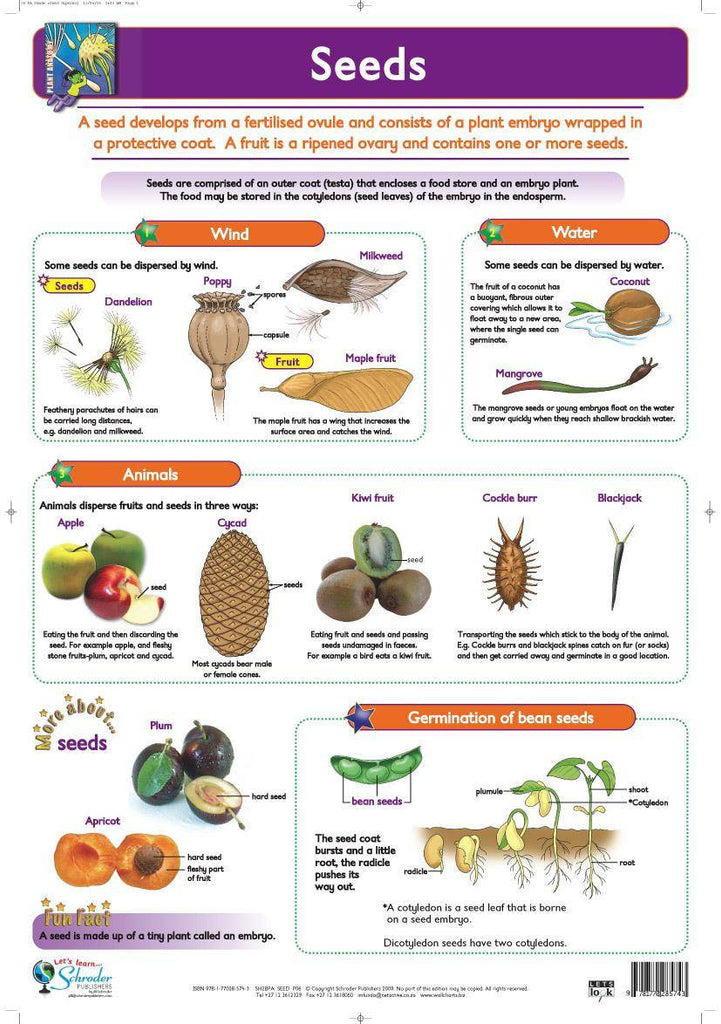 CHART SEEDS