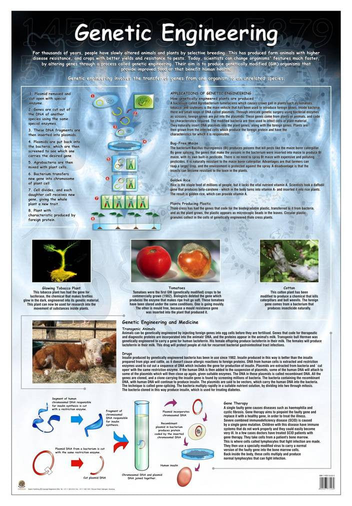 CHART GENETIC ENGINEERING